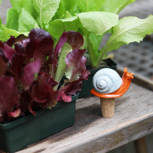 &Klevering - Bottle stopper snail