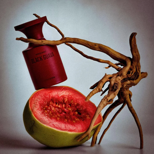 BORN TO STAND OUT - BLACK GUAVA